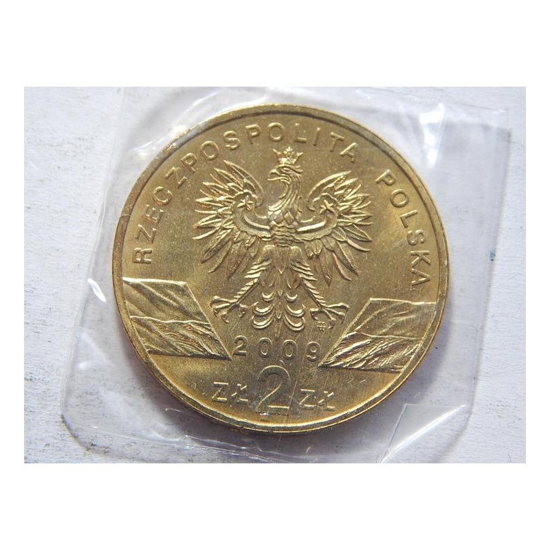 Polsko 2 Zlote 2009 Jasczurka Zielena BU č05120 Polsko 2 Zlote 2009 Jasczurka Zielena BU č05120