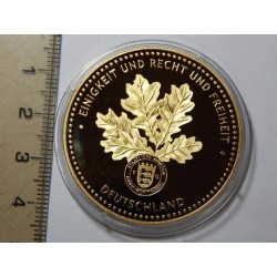 Německo pozlacená medaile Albert einstein 1879-1955 PROOF čŠU021