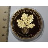 Německo pozlacená medaile Albert einstein 1879-1955 PROOF čŠU021