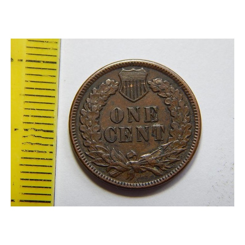 USA 1 Cent 1893 Indián XF-UNC č30820 USA 1 Cent 1893 Indián XF-UNC č30820