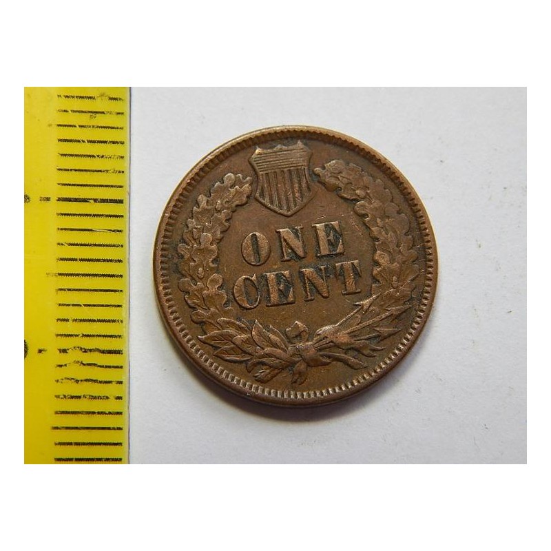 USA 1 Cent 1889 Indián XF-UNC č30800 USA 1 Cent 1889 Indián XF-UNC č30800