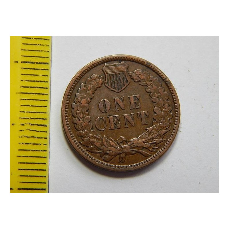 USA 1 Cent 1880 Indián UNC č30799 USA 1 Cent 1880 Indián UNC č30799