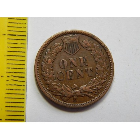 USA 1 Cent 1880 Indián UNC č30799